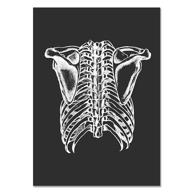 Anatomy Muscle Bone Black and White Canvas Painting Skeleton Organ Wall Art Modern Pictures Posters for Doctor Office Home Decor
