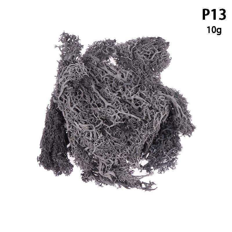 Colorful Natural Artificial Moss Plant DIY Dried Reindeer Moss Decor Resin Epoxy Filling Jewelry Garden Decorate Supplies