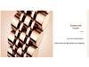Swiss English-Chinese Women's Watch: Fashionable Butterfly Buckle, Luminous, Waterproof, Stainless Steel Band, Calendar Feature.