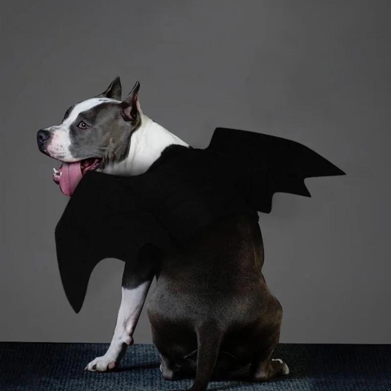 Halloween Bat Wings Costume for Dogs & Cats, Adjustable Felt Pet Bat Wing Dress-Up Accessory, Cute Puppy Holiday Party Outfit Pet Supplies
