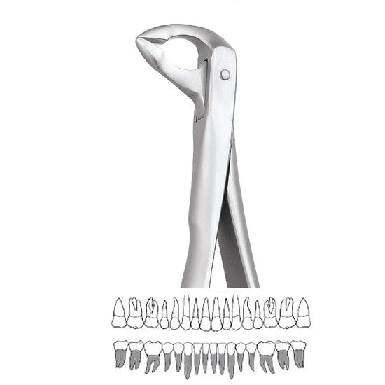 

GDC Extraction Forceps Lower Roots - 959.01 Secure (SFX959.01)