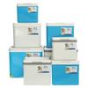 Tri-polar 6L Portable Cooler Box with Ice Packs