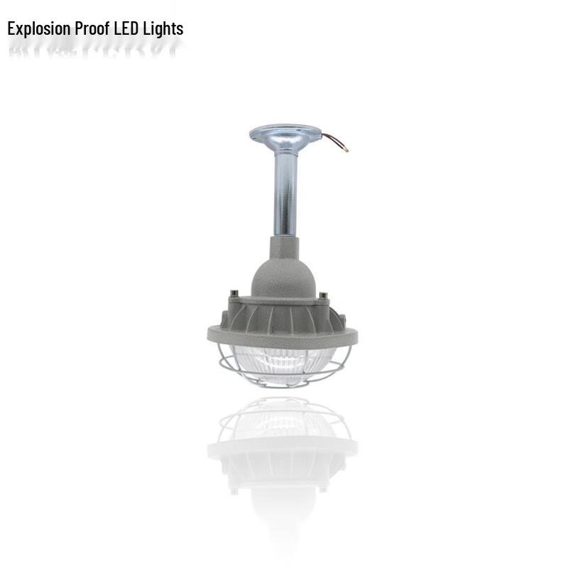 30W LED Industrial Emergency Pendant Light