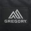 Gregory Official Easyday Backpack, Current Model, Black