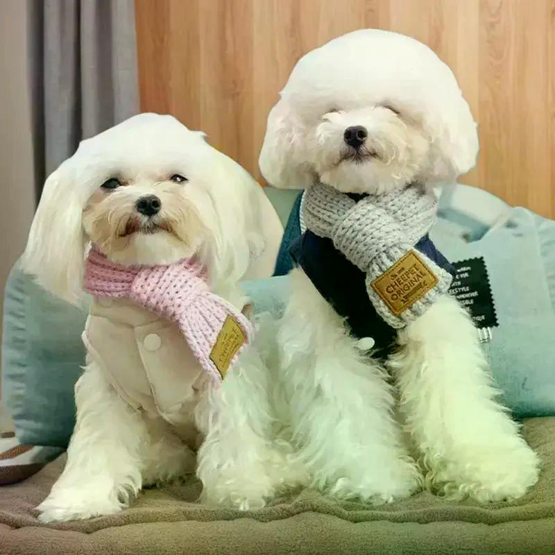 Korean Style Knitted Pet Kittens Puppies Teddy Dog Scarfl Autumn Winter Warm Fashion Decoration Bow Scarf Pet Accessories