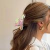Acetate Hair Claw Clip in Wild Gooses Designs Women's Hair Accessory Fashion Hair Decoration for Fashion Enthusiasts