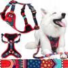 EVERYDAY Pressure-free Harness for a Small Terrier Dog 15 COLORFUL Pattern