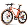 FAFREES F1 Elektrické kolo 250W Motor 36V10AH Baterie e-kolo 26 Palcové Tlusté Pneumatiky Horský Terénní Elektrické Kolo