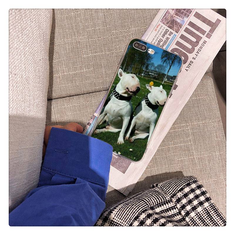 Bullterrier Bull Terrier Dog Phone Case For iPhone 13 X XS MAX 6 6s 7 7plus 8 8Plus 5 5S Se 2020 XR 12 11 Pro Max Fundas Capa