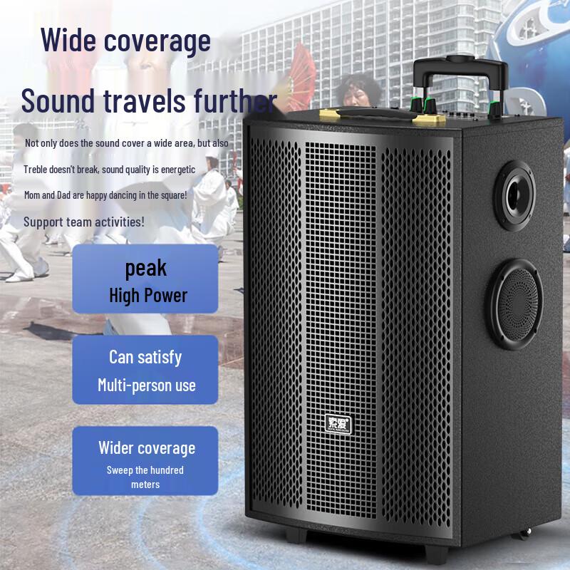 

Soyea 12-inch Portable Bluetooth Karaoke Trolley Speaker with Dual Mics