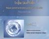 Hyaluronic Acid Essence: Hydrating, Moisturizing & Pore-Refining Facial Serum
