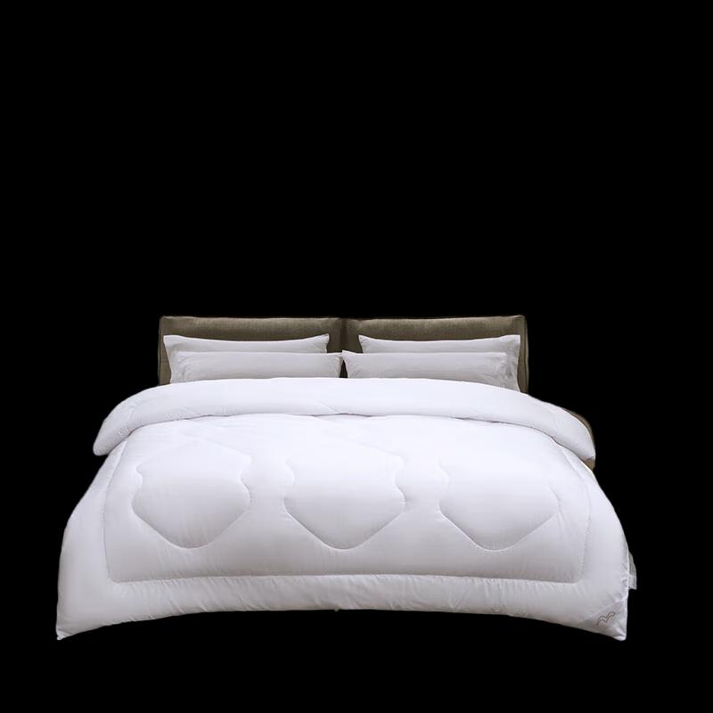 Mercury Dusan Antibacterial All-Season Quilt