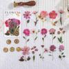PET Wax Seal Sticker Pack - 40pcs Dried Flower Decals for Journal & Scrapbooking
