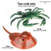 Marine Animal Simulation Model Figures: Shark, Dolphin, Hammerhead, Crab, Squid, Starfish for Kids' Education