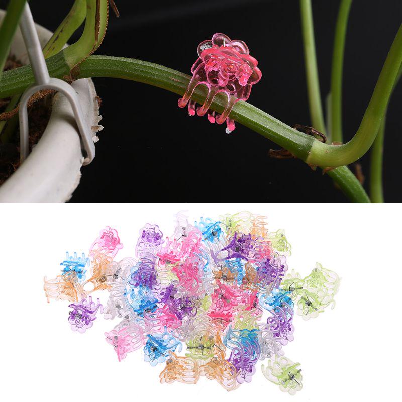 50Pcs Plant Support Garden Flower Orchid Clips Vines Grow Upright Clip Set New