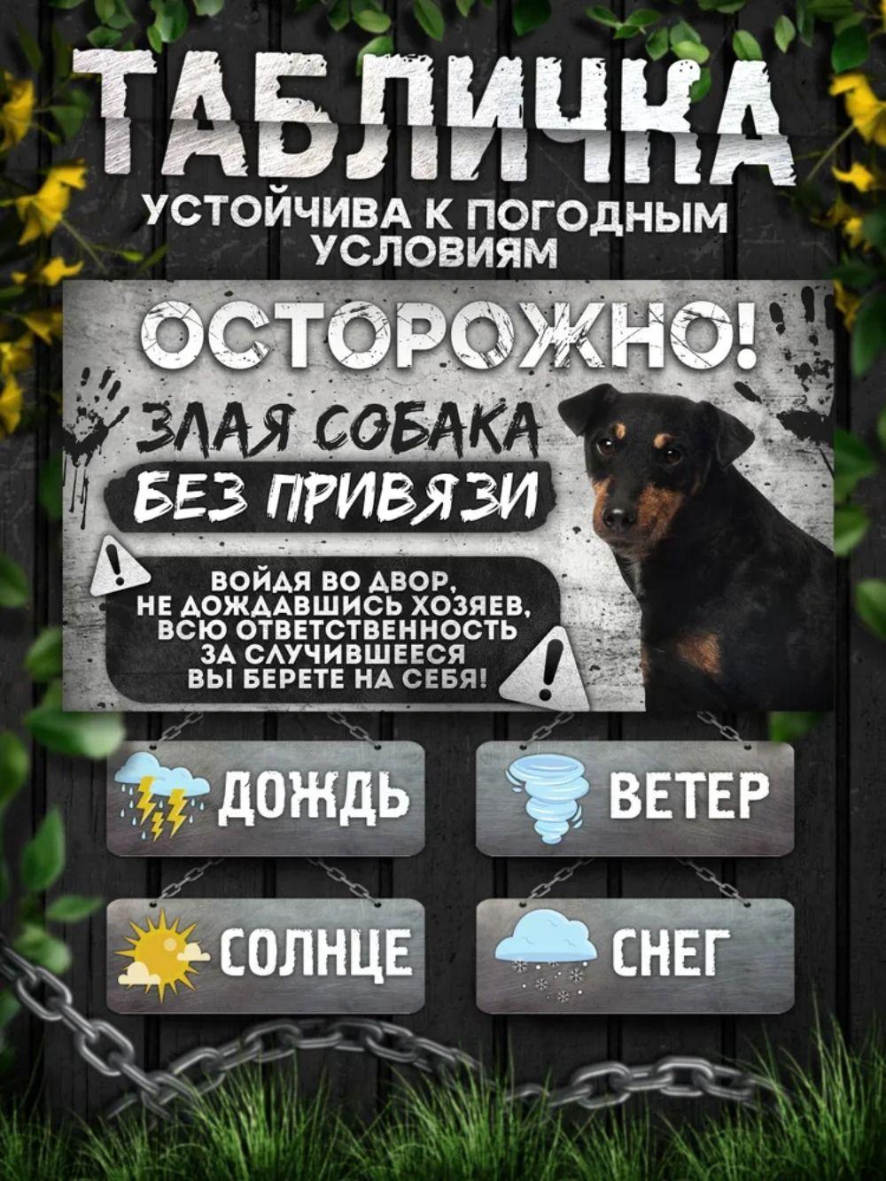 

Надпись на заборе, ОПАСНО СОБАКА, Осторожно! Во дворе находится собака без поводка, немецкий ягдтерьер, 20х30см