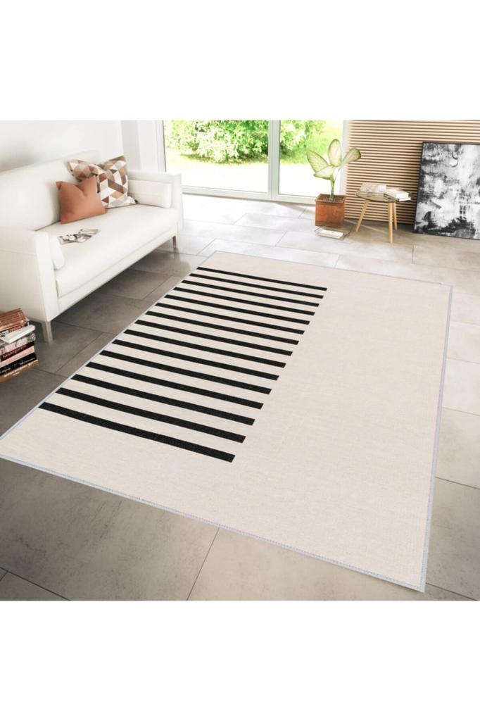 Eliana Home Washable Printed Carpet LNA1206