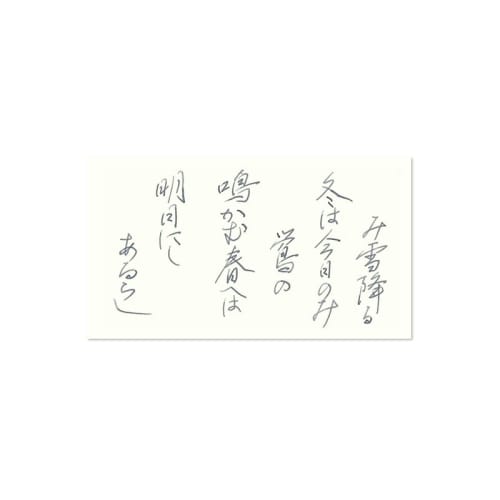 PILOT Fountain Pen Water-based Ink Color Drop/iroshizuku Mini Bottle 15ml [Winter General] INK15FS
