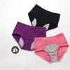 Mesh Breathable Leak Proof Mid High Waist Women's Menstrual Underwear Before and After Menstruation