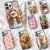 Cartoon Cavoodle Cavapoo Soft Phone Case for iPhone 17 Air 16e Pro Max 15 Pro 13 14 Plus 11 12 MagSafe Magnetic Coque