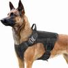 Hunde – Hundehalsbänder & Leinen