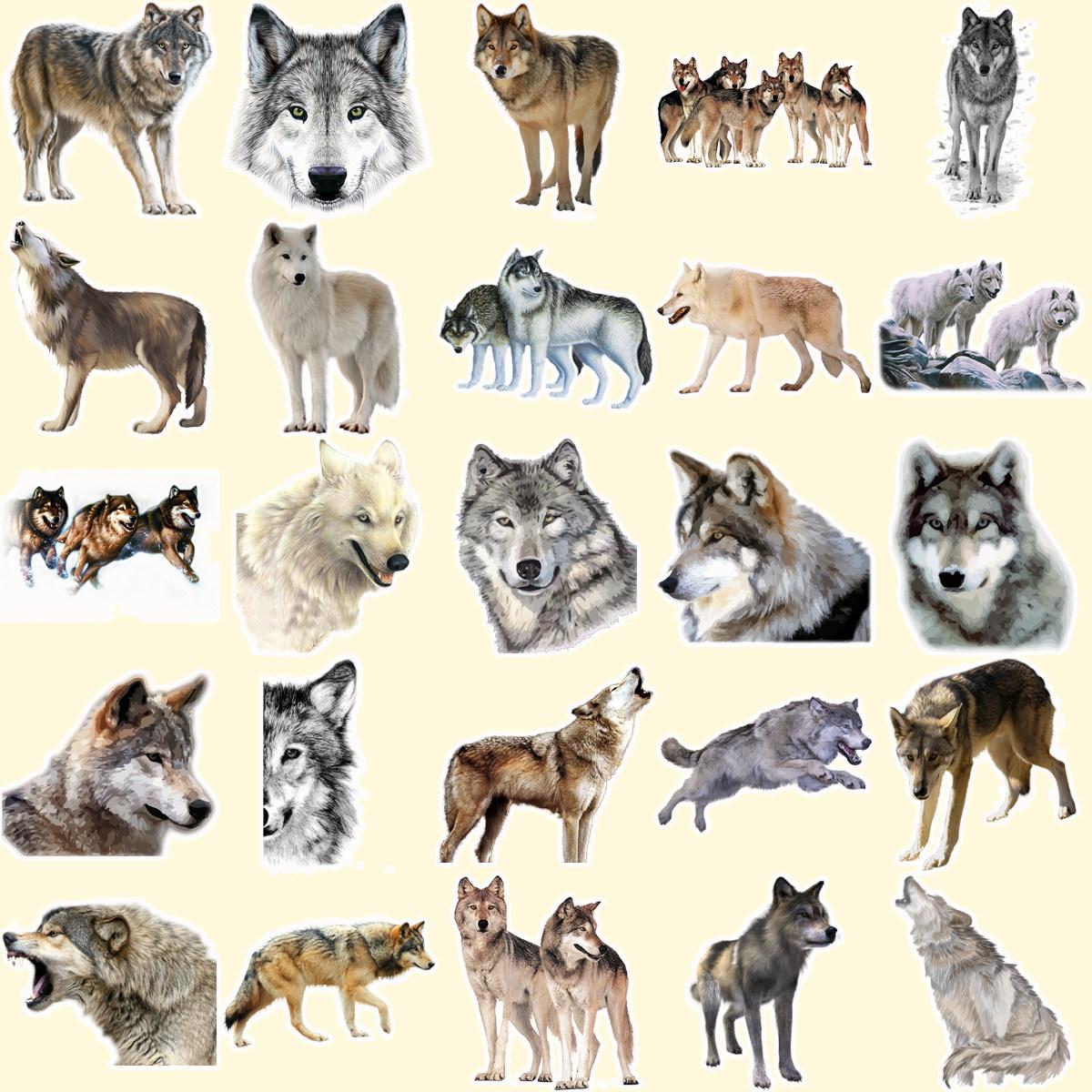 Wolf Clan Wolf Totem Stickers iPad Tablet Waterproof Phone Case Luggage Student Notebook Diary Stickers