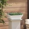 Garden Planter White 50 X 50 X 15 Cm Cold Rolled Steel