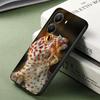 Lizards Geckos Cute Pet Soft Phone Case for Xiaomi Poco X5 X6 X7 X8 Pro Max X3 F7 F8 Ultra M8 M7 M6 M5 Redmi 15 15C 14C 13C 12C
