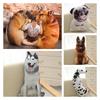 Creative 3d Simulation Dog Pillow, Plush Toy Dog Stuffed Animal For Kids, Short Plush Fabric, Pp Cotton Filling, Various Sizes And Colors