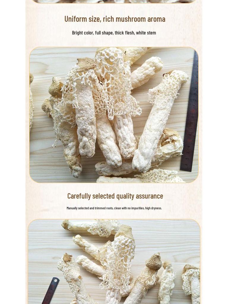 Guizhou Red-Cap Bamboo Fungus Gift Box: New Season Zhijin Bamboo Fungus Soup Ingredient