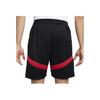 Nike Dri-Fit Icon Loose Basketball Shorts Men Shorts Black DV9525-013
