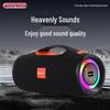 Newman BT100 Portable Heavy Bass Bluetooth Speaker (CN Version)