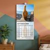 2026 Wall Calendar Funny Cats Calendar 2026 Monthly Planner Organizer Scheduling Tool for Desk Bedroom Desktop Fridge Living