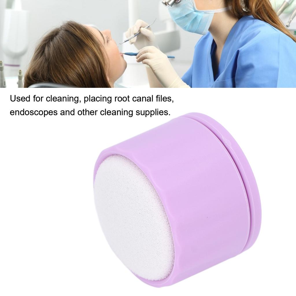 Endo File Clean Stand Dental Endo File Clean Stand Holder Sponge Refill for File Cleaning