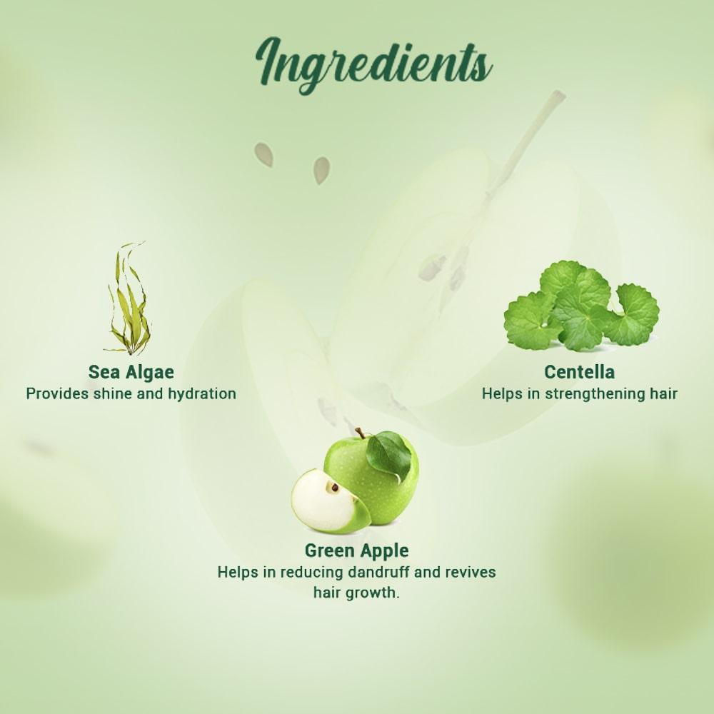 Biotique Green Apple Shine & Gloss Shampoo And Conditioner 500ml For Healthy Soft Smooth Hair With Botanical Extracts