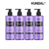 All Day Smell Cover Youth Shampoo Plum & Grapefruit 400ml X4