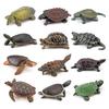 Realistic Turtle Action Figure Simulation Animals Figurines Ocean Life Model Ornaments Toys For Children