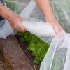 Greenhouse Protection Multipurpose Agricultural Insect Net Enhanced Mesh for Vegetables Fruit Trees Bird Prevention Pest Control