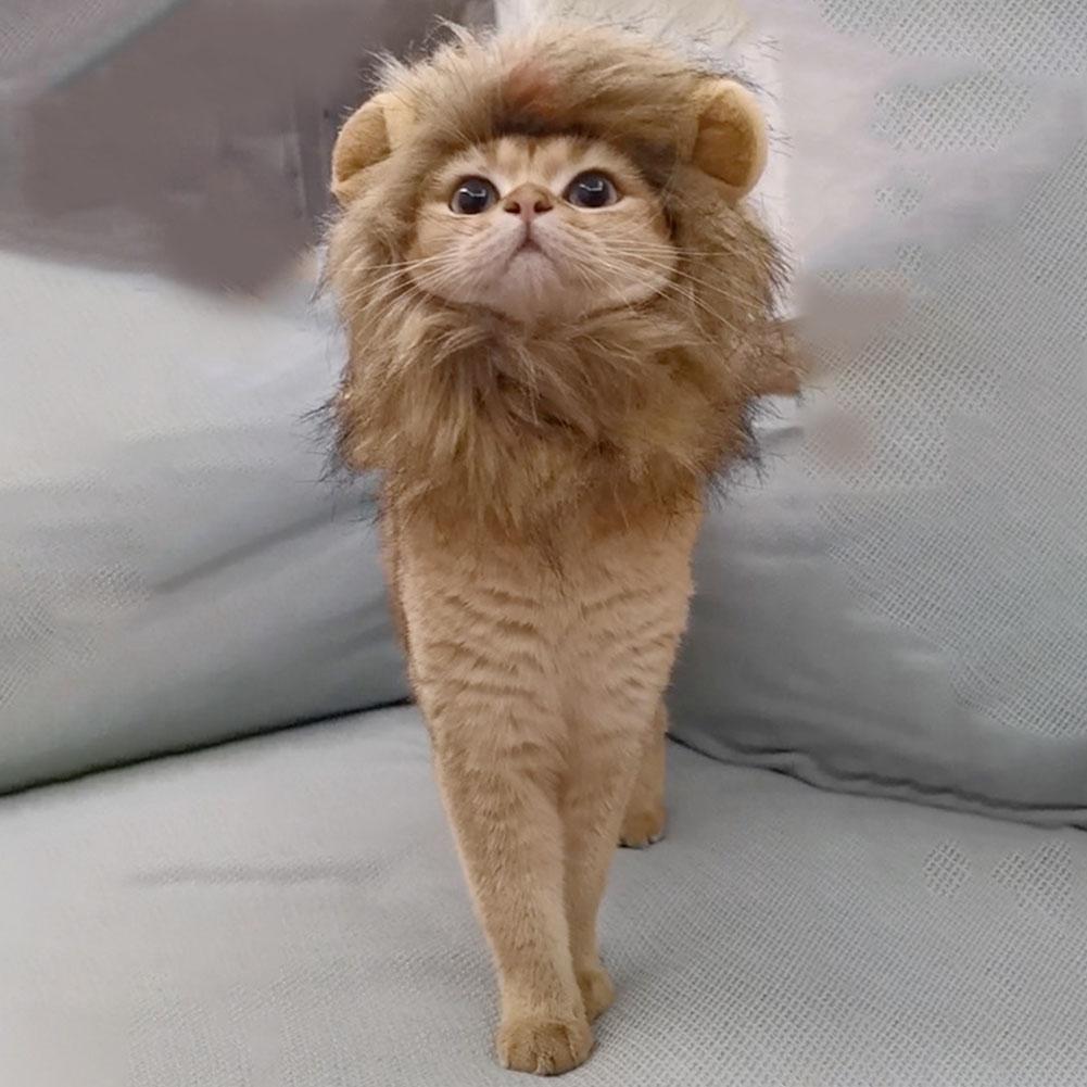Parrucca da Gatto Divertente Criniera da Leone Copricapo per Cani Gatti Accessori Costumi Regolabili per Divertimento Parrucca da Gatto Costume Criniera da Leone Cosplay