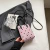 Simple Casual Crossbody Phone Bag for Women  Trendy Bow Hasp Design Mini Bucket Bag Lady Fashion Lipstick Purse