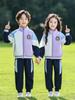 Blue-Purple Sportswear Baseball Suit Set for Kindergarten and Elementary School: Spring, Autumn, and Graduation Uniform