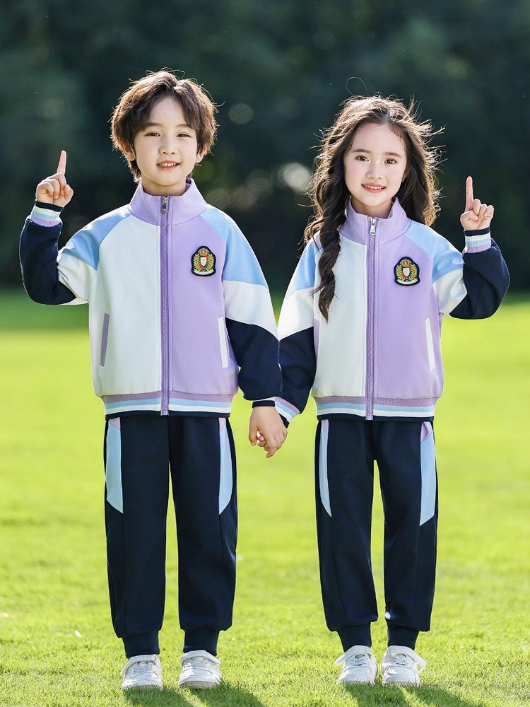 Blue-Purple Sportswear Baseball Suit Set for Kindergarten and Elementary School: Spring, Autumn, and Graduation Uniform