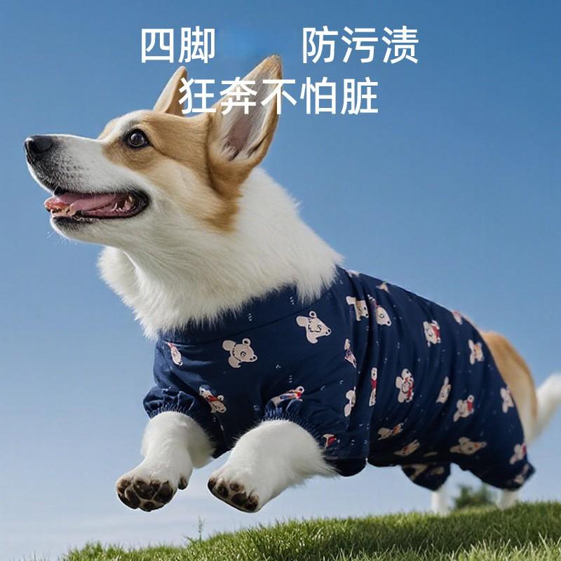 Wasserdichte Hunderegenjacke mit Bärenmuster für kleine und mittlere Hunde, für den Außenbereich
