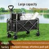 Accesorii pentru bagaje – Cărucioare pentru bagaje