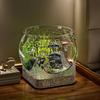 Stabiler Klarer Runder Fischtank Bruchfester Schreibtisch-Aquarium für Haustier-Schildkröten Kleine Fische Innen Außen Dekoratives Fisch-Aquarium