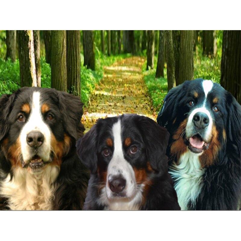 DIY 5D Diamond Painting Animal Full Square/Round Diamond Embroidery Picture Rhinestones Mosaic Dog Cross Stitch Home Decor Gift