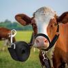 Calf Halter Cow Halter Leading Rope For Showing Small Breeds Animals Showing Adjustable Tool For Training Handling Horse Lamb
