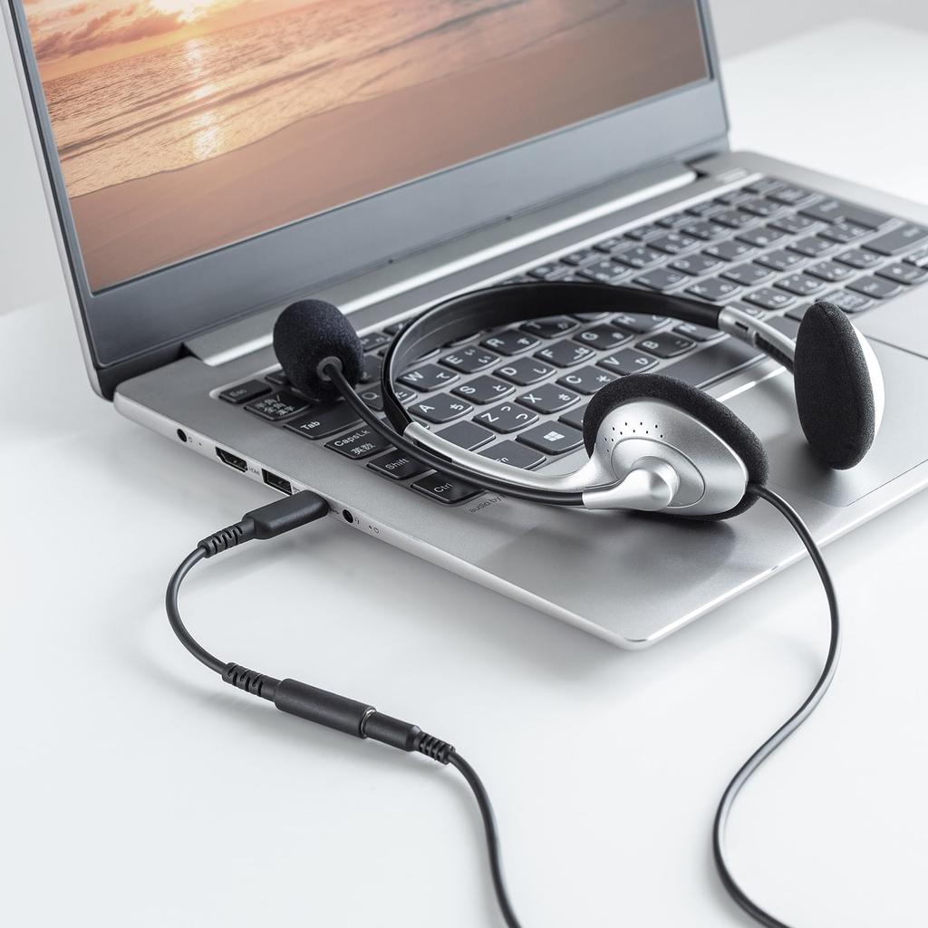 SANWA SUPPLY Type-C Audio Conversion Adapter (cable Type) MM-ADUSBTC4