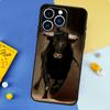Bull Animal Phone Case For iPhone 17 16 14 13 12 11 15 Pro Max Plus 12 13 mini 16e 17 Air Bumper Cover