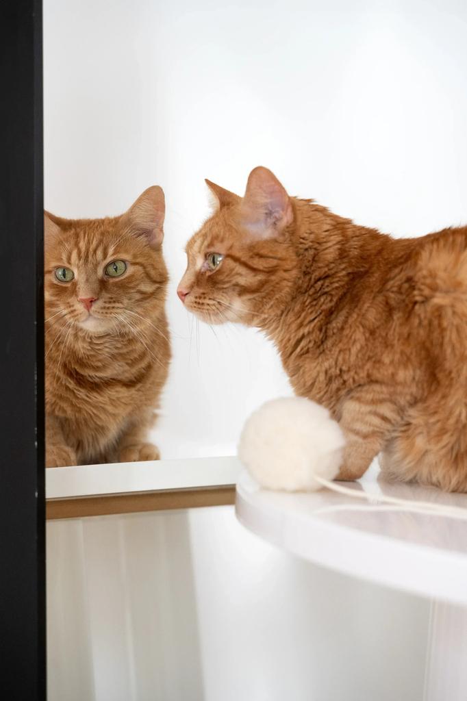Natural Woolen Cat Toy: Ball String / Beige